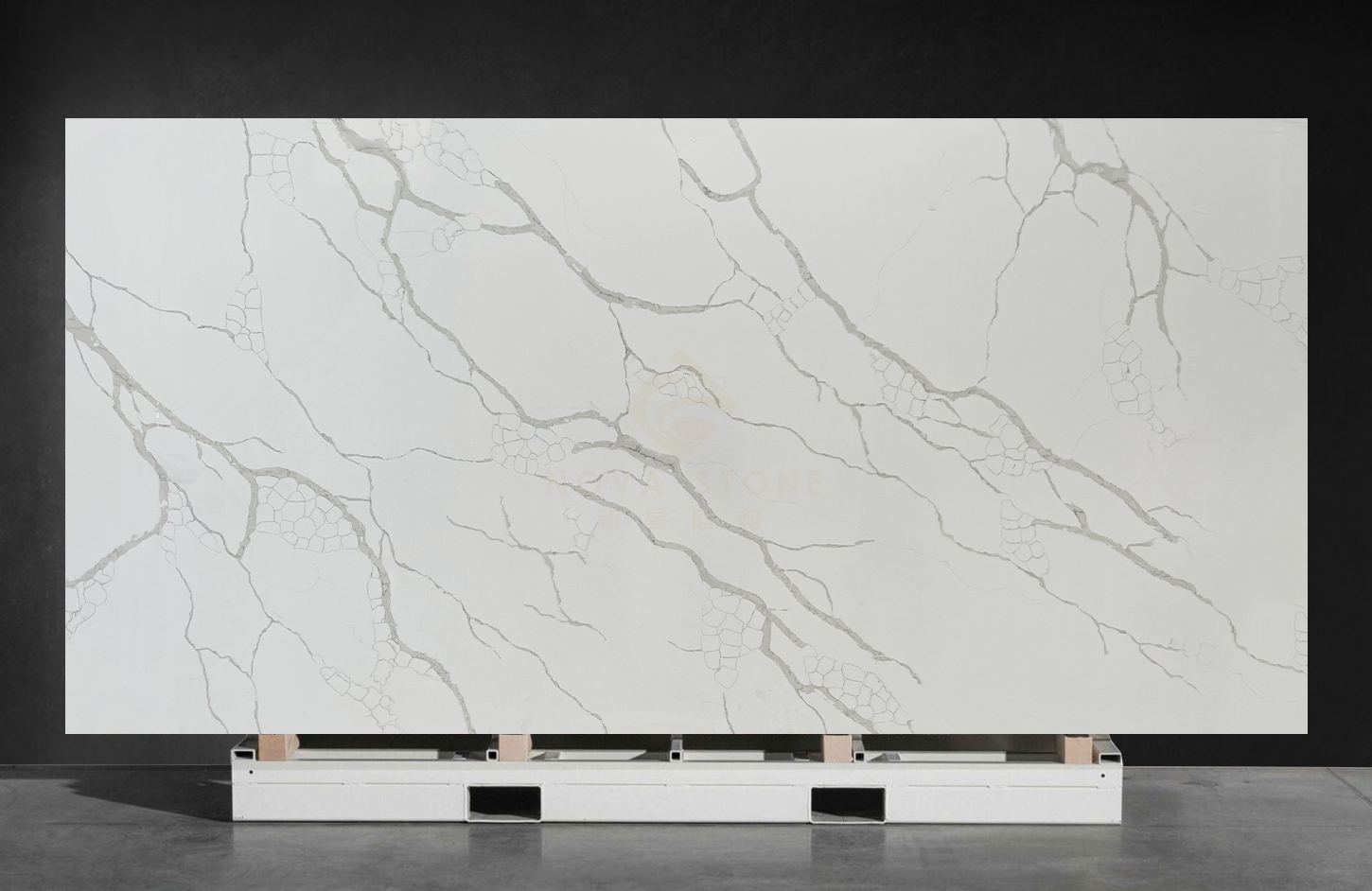 NV871:  Timeless Classic Calacatta White Quartz